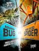 Assassin_bug_vs__Ogre-faced_spider