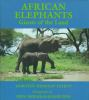 African_elephants