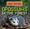 Opossums_in_the_forest