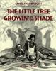 The_little_tree_growin__in_the_shade