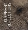 Elephant_reflections