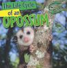 The_life_cycle_of_an_opossum