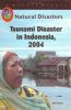 Tsunami_disaster_in_Indonesia__2004___John_Torres