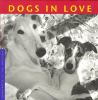 Dogs_in_love