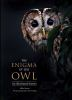 The_enigma_of_the_owl