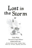 Lost_in_the_storm