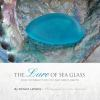 The_lure_of_sea_glass
