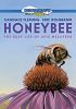 Honeybee__The_Busy_Life_of_Apis_Mellifera