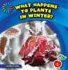 What_Happens_to_Plants_in_Winter_