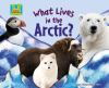 What_lives_in_the_Arctic_